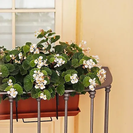 Sanchez Pastor Freshapartments